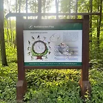 Mazury- * Pisz