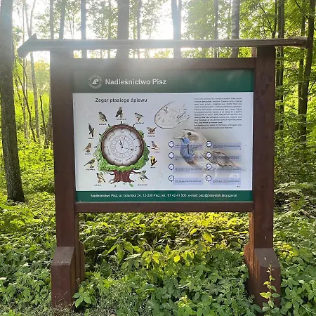 Mazury- * Pisz