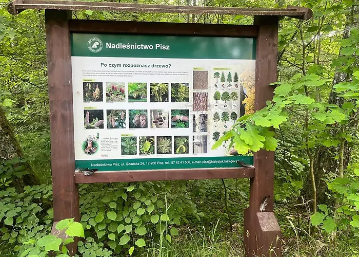 Holiday home Mazury- *